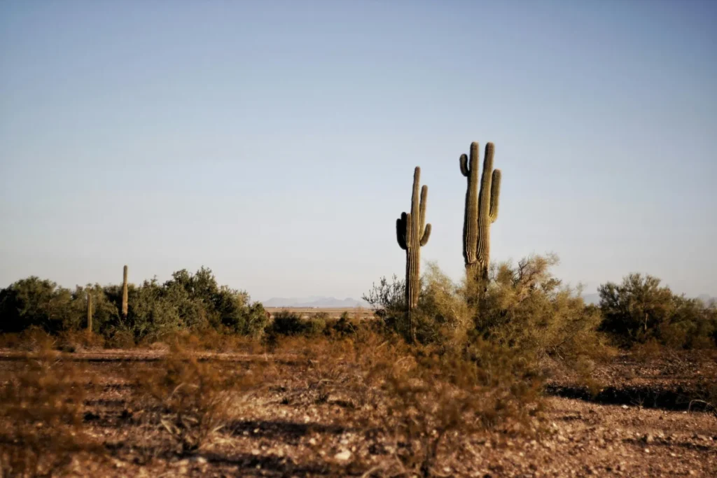 Starting a business in Texas